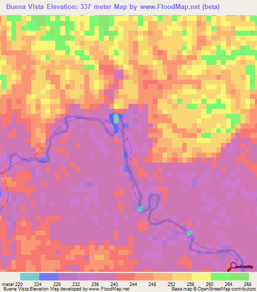 Buena Vista,Colombia Elevation Map