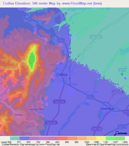 Codlea,Romania Elevation Map