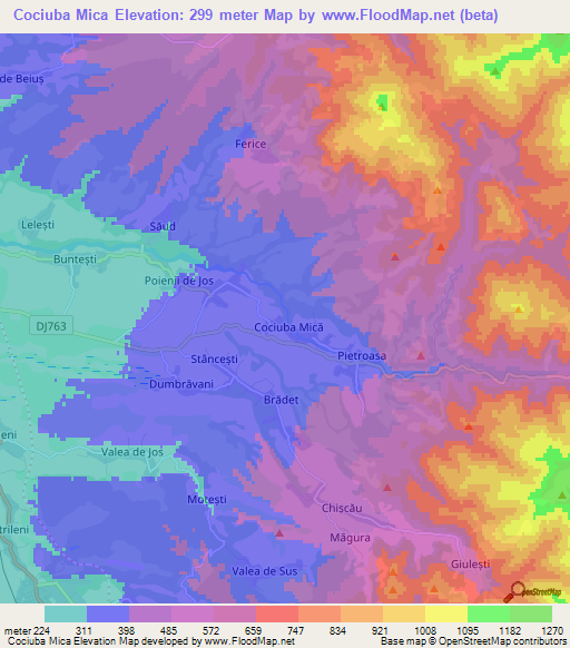 Cociuba Mica,Romania Elevation Map