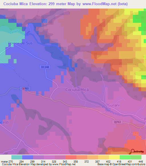 Cociuba Mica,Romania Elevation Map