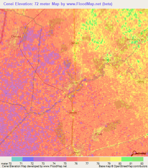 Cenei,Romania Elevation Map