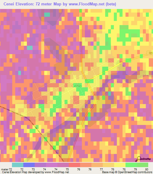 Cenei,Romania Elevation Map