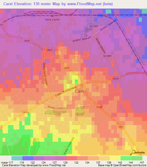 Carei,Romania Elevation Map