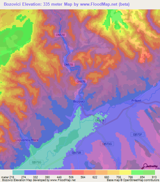 Bozovici,Romania Elevation Map