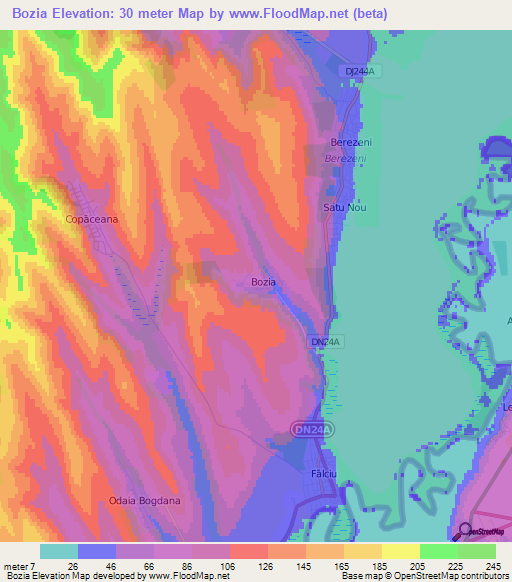 Bozia,Romania Elevation Map