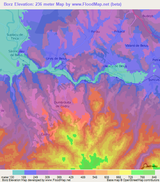 Borz,Romania Elevation Map