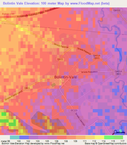 Bolintin Vale,Romania Elevation Map