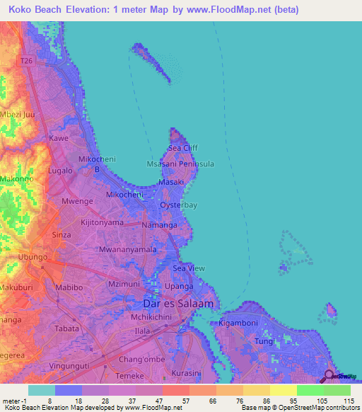 Koko Beach,Tanzania Elevation Map