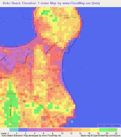 Koko Beach,Tanzania Elevation Map