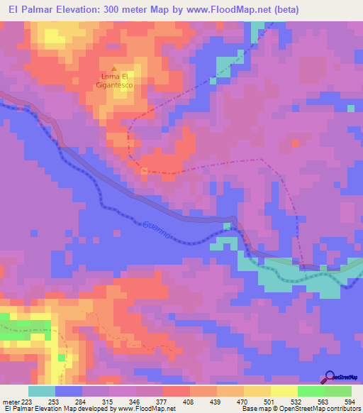 El Palmar,Colombia Elevation Map