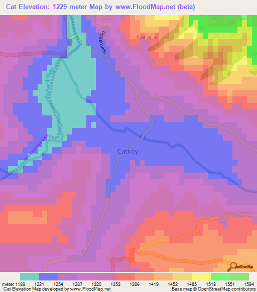 Cat,Turkey Elevation Map