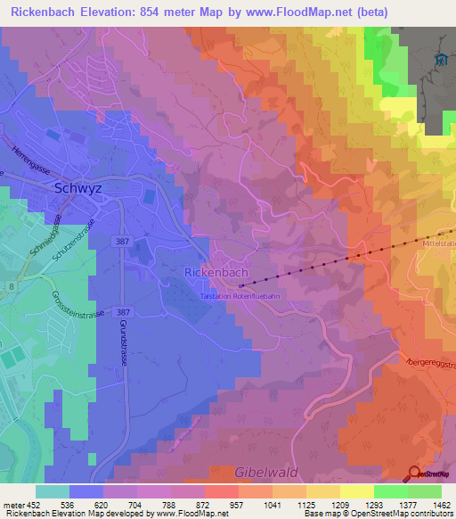 Rickenbach,Switzerland Elevation Map