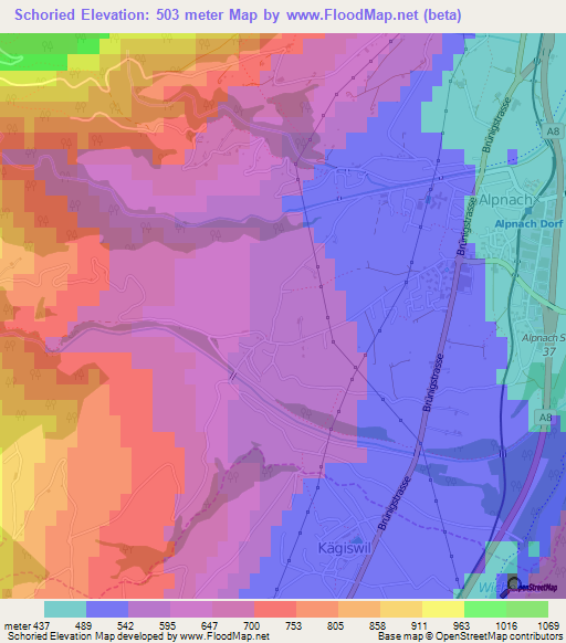 Schoried,Switzerland Elevation Map