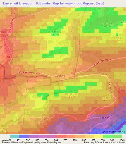 Baerenwil,Switzerland Elevation Map