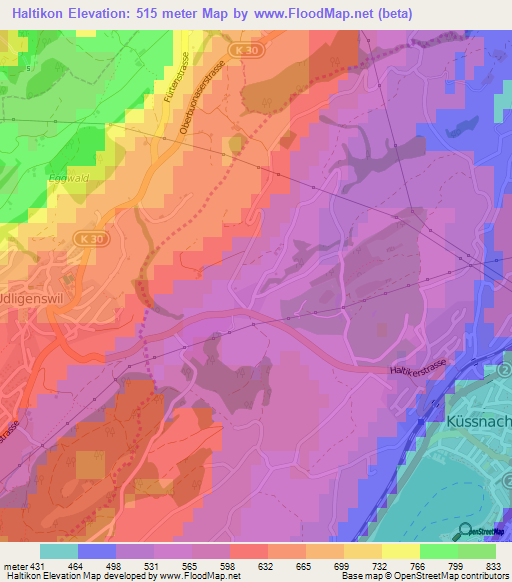 Haltikon,Switzerland Elevation Map
