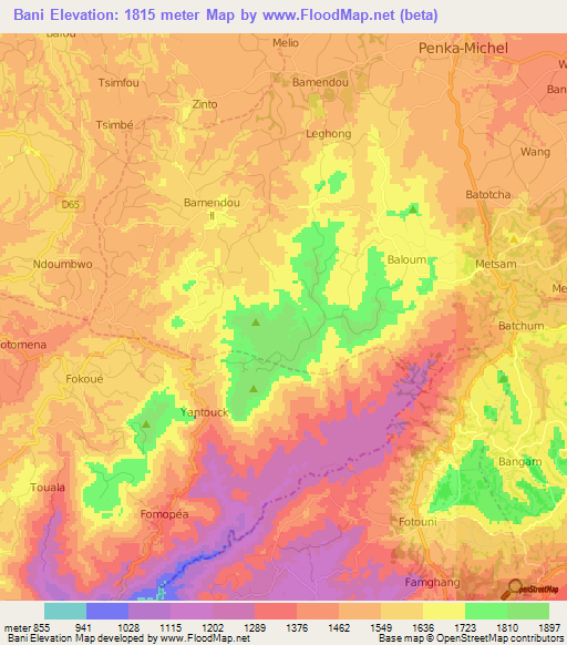 Bani,Cameroon Elevation Map