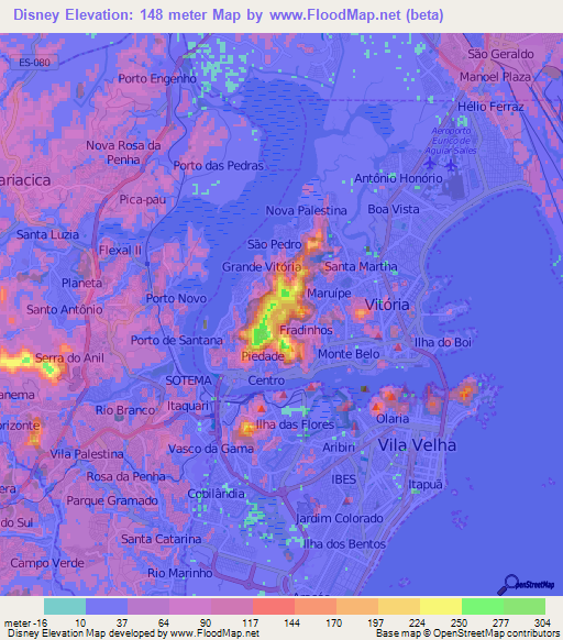 Disney,Brazil Elevation Map