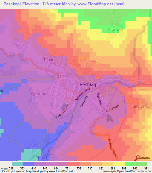 Peshkopi,Albania Elevation Map