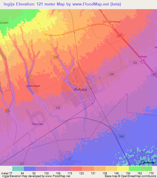 Ingija,Serbia Elevation Map