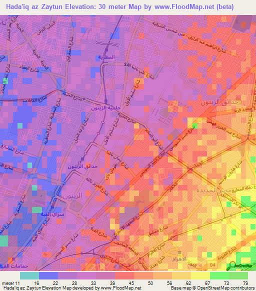 Hada'iq az Zaytun,Egypt Elevation Map
