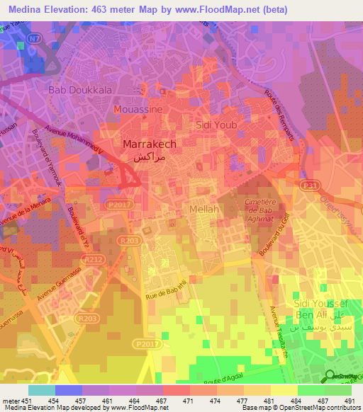 Medina,Morocco Elevation Map