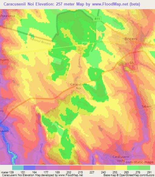 Caracusenii Noi,Moldova Elevation Map