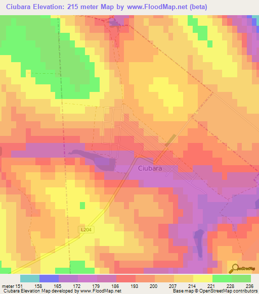 Ciubara,Moldova Elevation Map