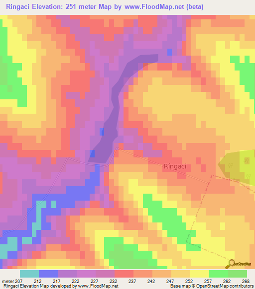 Ringaci,Moldova Elevation Map