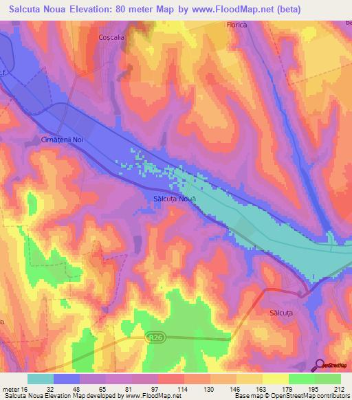 Salcuta Noua,Moldova Elevation Map