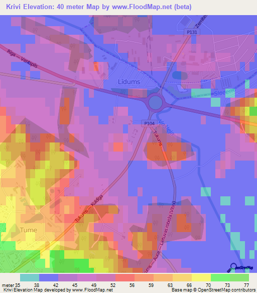 Krivi,Latvia Elevation Map