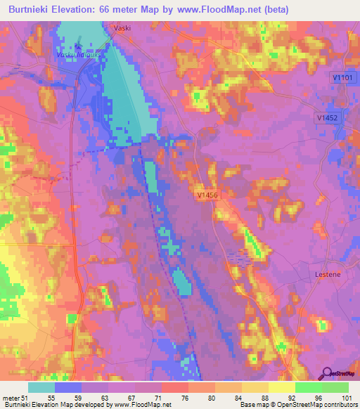 Burtnieki,Latvia Elevation Map