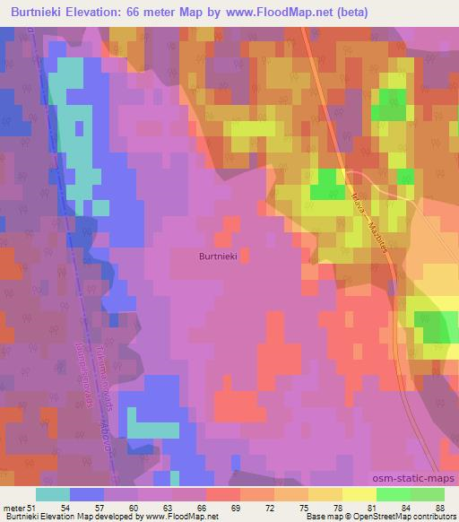 Burtnieki,Latvia Elevation Map