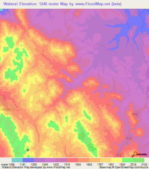 Walanzi,Tanzania Elevation Map