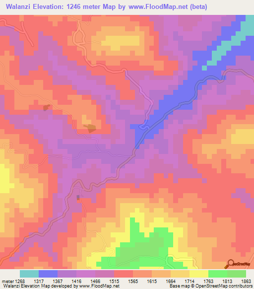 Walanzi,Tanzania Elevation Map