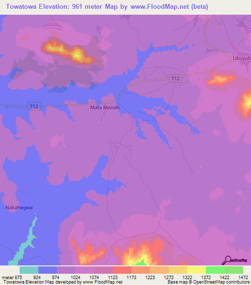 Towatowa,Tanzania Elevation Map