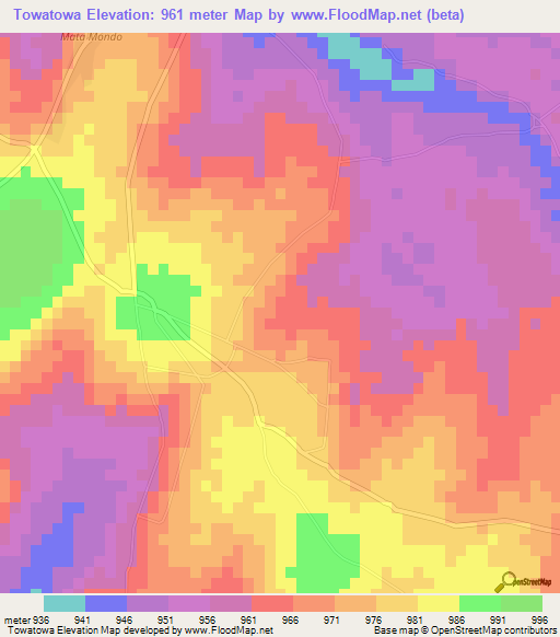 Towatowa,Tanzania Elevation Map