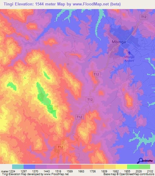 Tingi,Tanzania Elevation Map