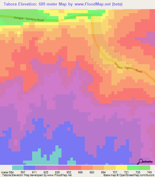 Tabora,Tanzania Elevation Map