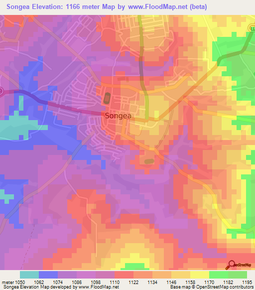 Songea,Tanzania Elevation Map