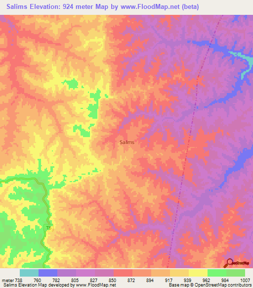 Salims,Tanzania Elevation Map