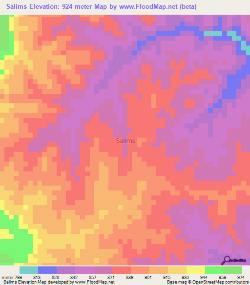 Salims,Tanzania Elevation Map