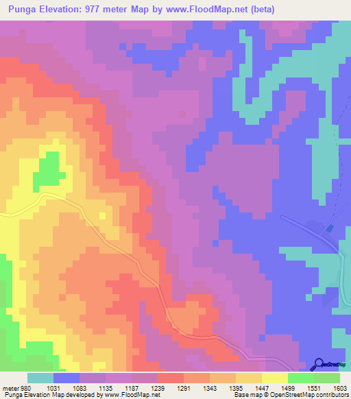 Punga,Tanzania Elevation Map