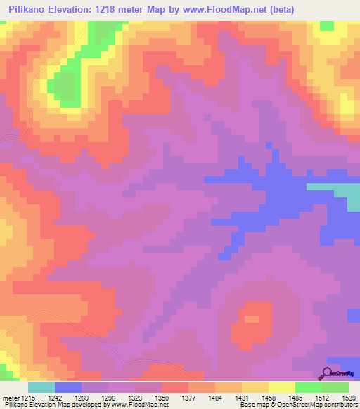 Pilikano,Tanzania Elevation Map