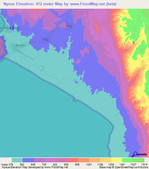 Nyeue,Tanzania Elevation Map