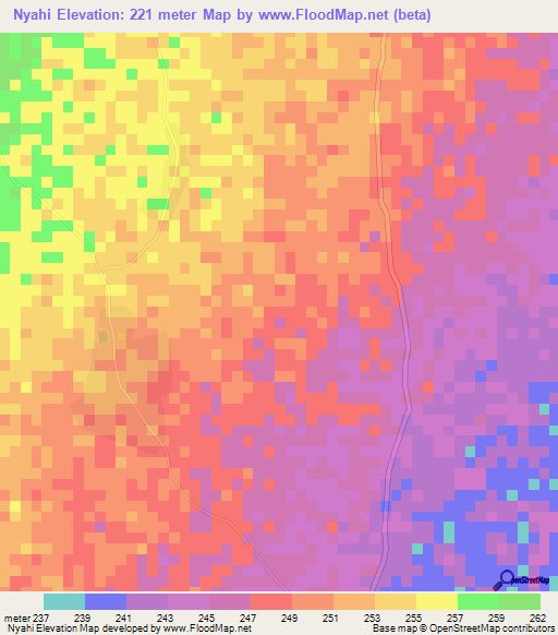 Nyahi,Tanzania Elevation Map