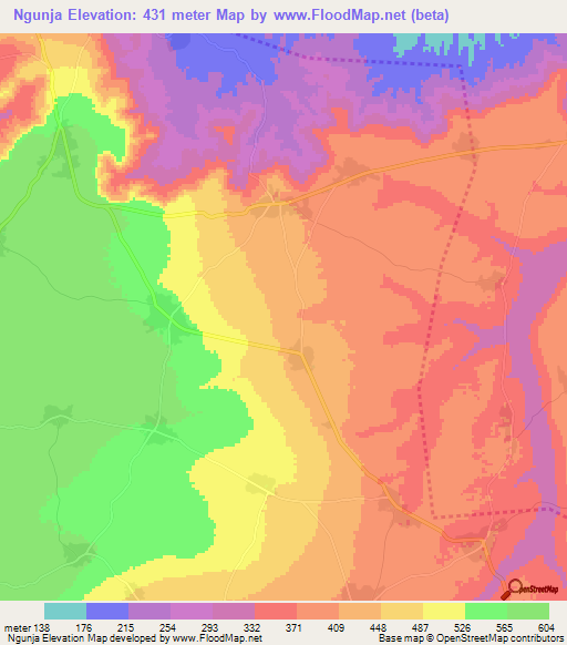 Ngunja,Tanzania Elevation Map