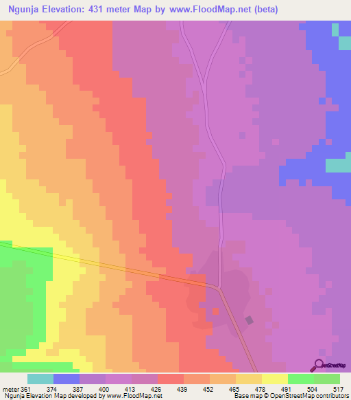 Ngunja,Tanzania Elevation Map