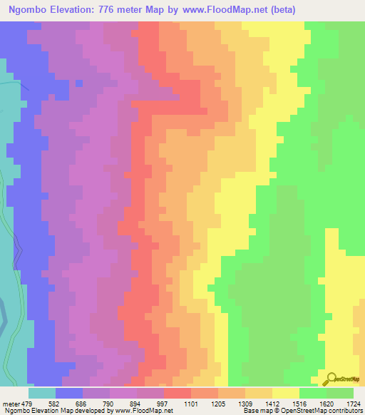 Ngombo,Tanzania Elevation Map