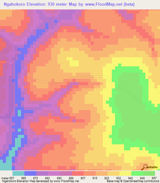 Ngahokoro,Tanzania Elevation Map