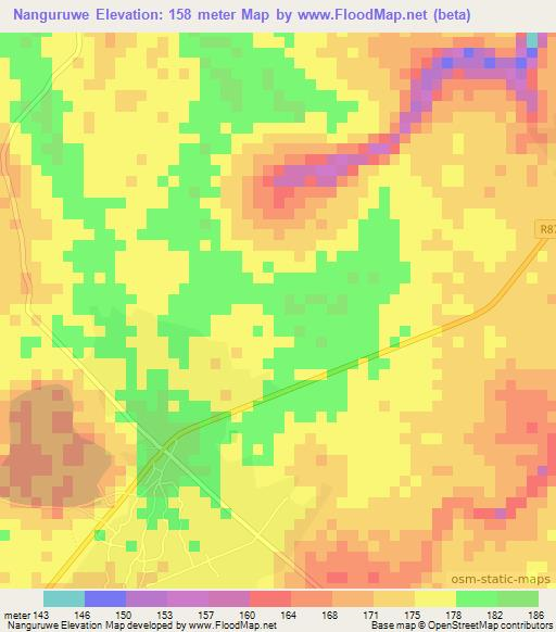 Nanguruwe,Tanzania Elevation Map